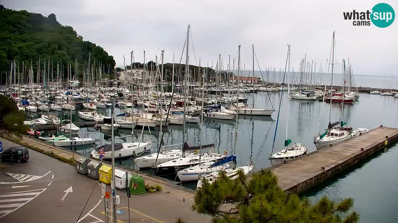 Webcam Sistiana – Blick auf Marina und Bucht