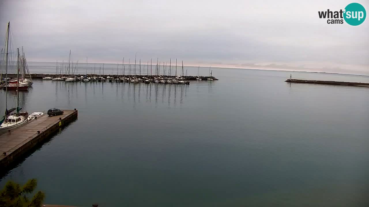 Webcam Sistiana – Marina and Bay Live View