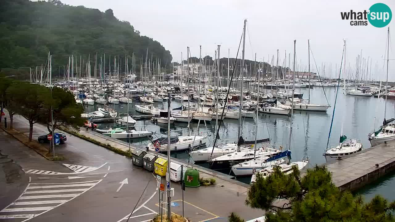 Webcam Sistiana – Marina and Bay Live View