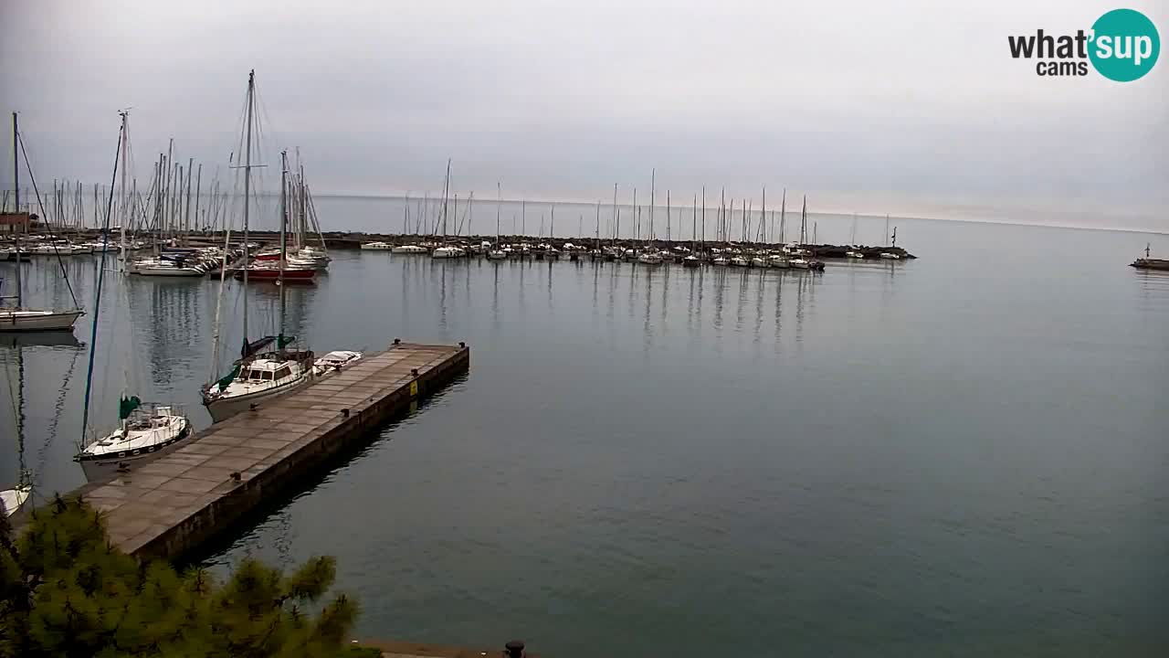 Webcam Sistiana – Vista sulla marina e sulla baia