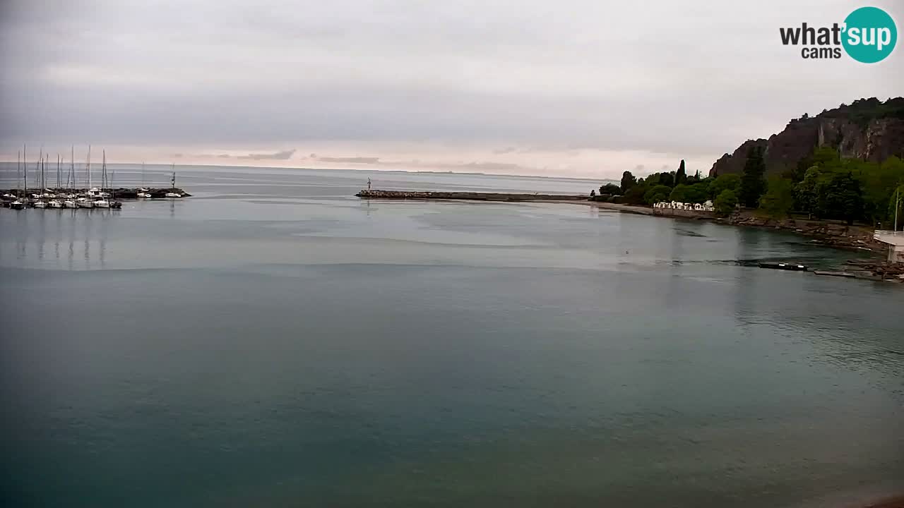 Webcam Sistiana – Marina and Bay Live View