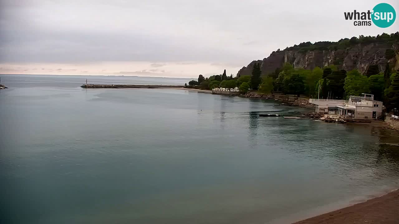 Webcam Sistiana – Marina and Bay Live View