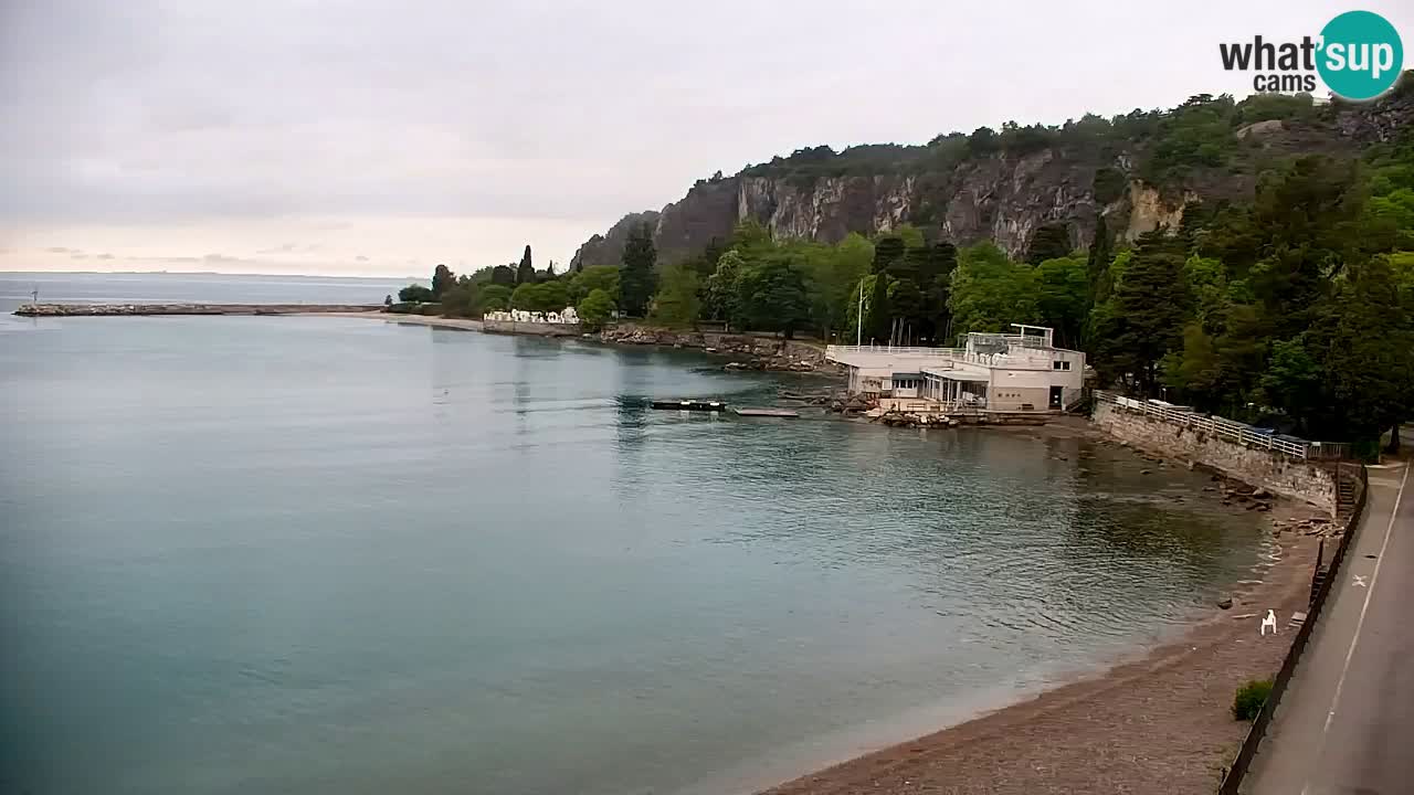 Webcam Sistiana – Marina and Bay Live View