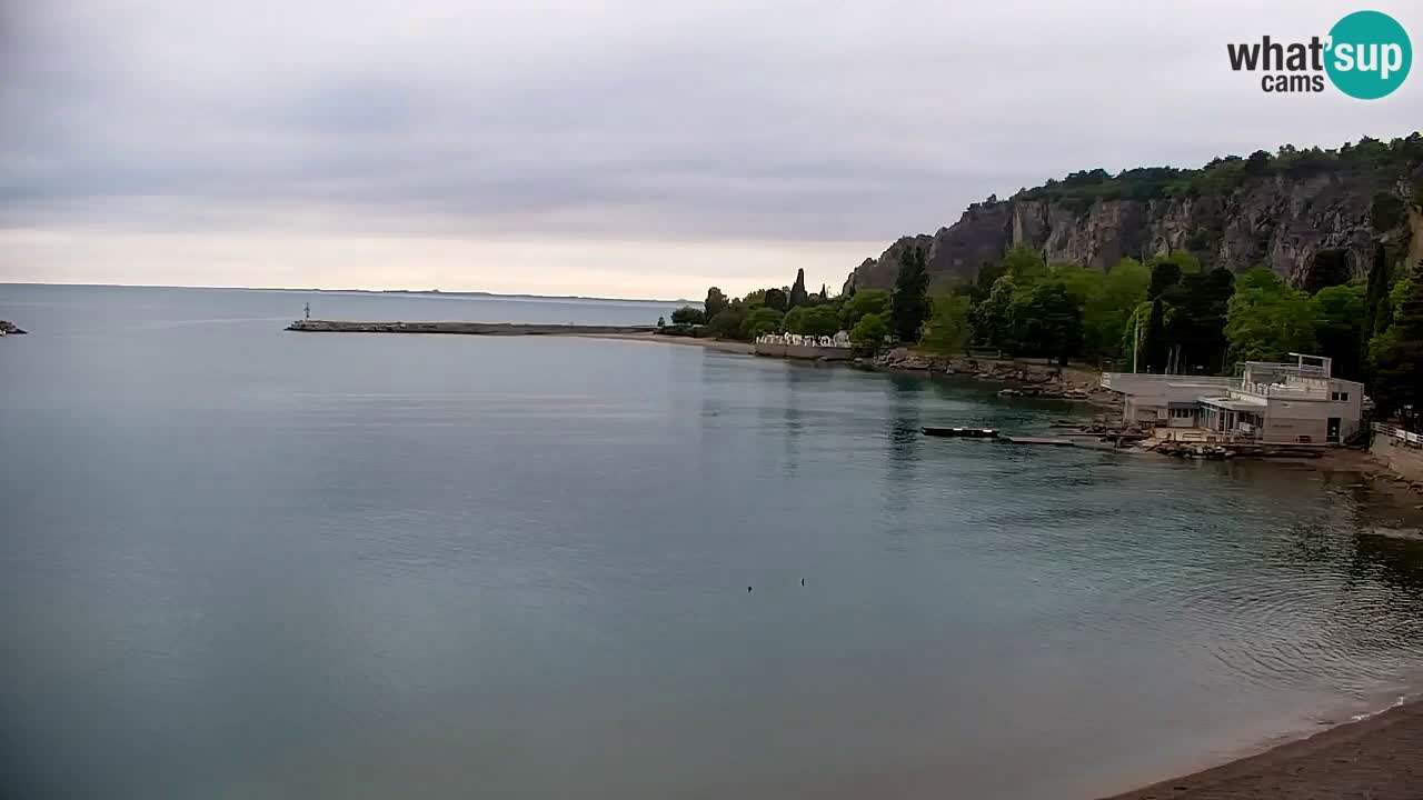 Webcam Sistiana – Vista sulla marina e sulla baia