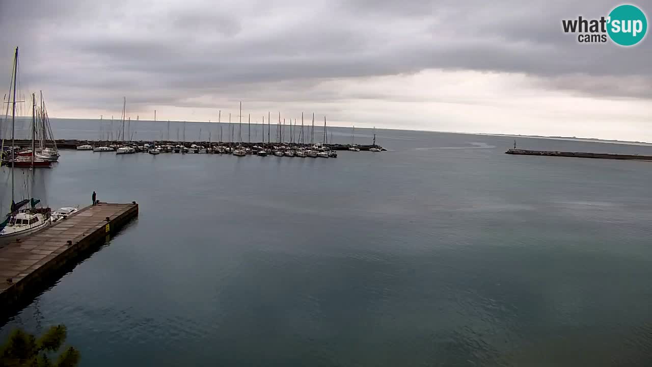 Webcam Sistiana – Marina and Bay Live View