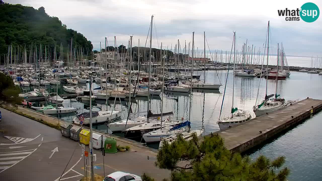 Webcam Sistiana – Marina and Bay Live View