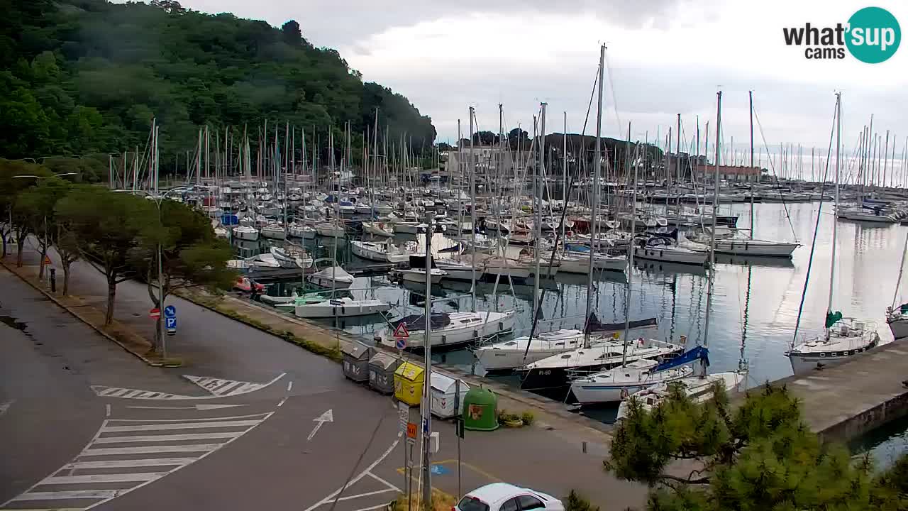 Webcam Sistiana – Marina and Bay Live View