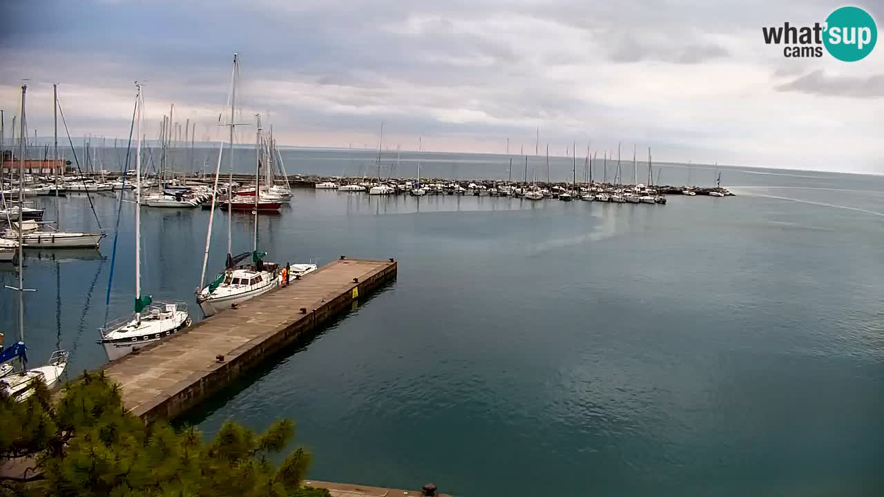 Spletna kamera Sesljan (Sistiana) – Pogled na marino in zaliv