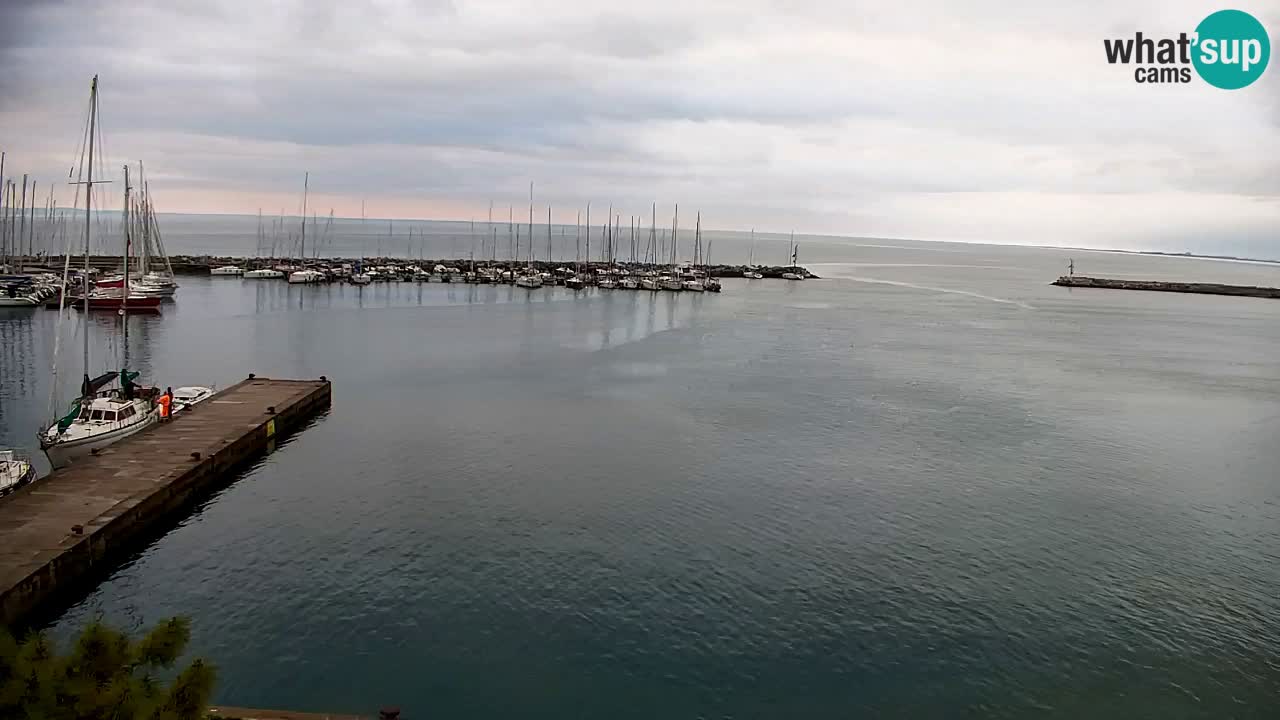 Webcam Sistiana – Marina and Bay Live View
