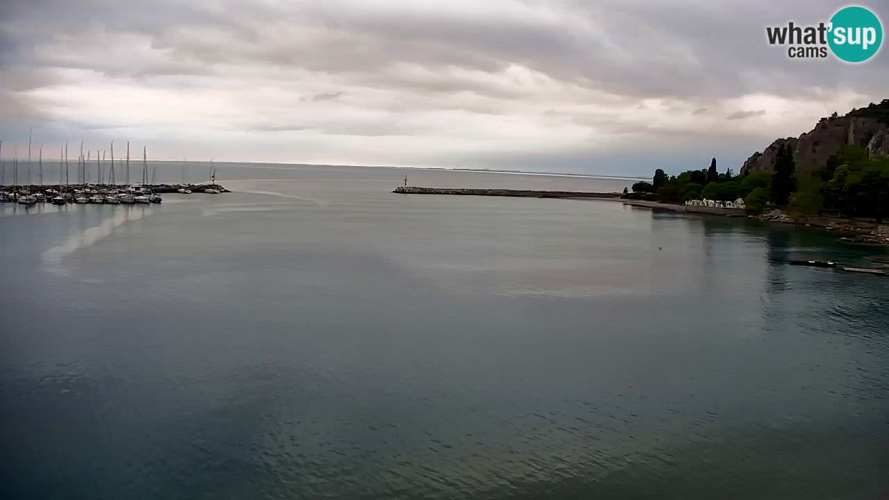 Webcam Sistiana – Pogled na marinu i zaljev