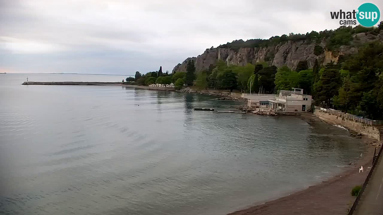 Webcam Sistiana – Marina and Bay Live View