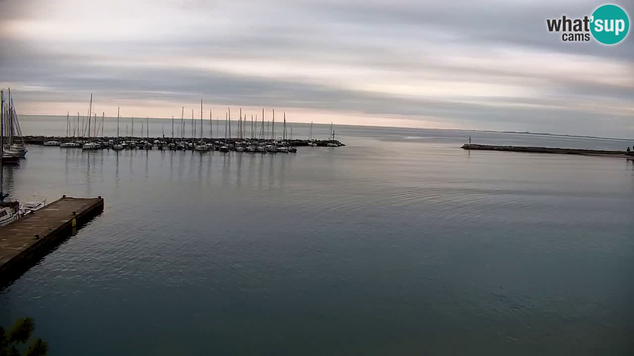 Spletna kamera Sesljan (Sistiana) – Pogled na marino in zaliv