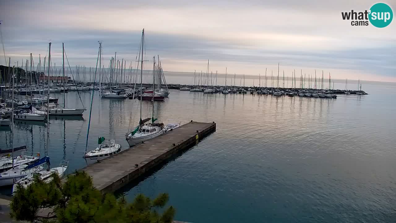 Webcam Sistiana – Marina and Bay Live View