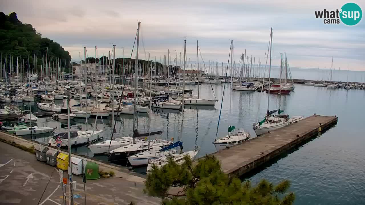 Spletna kamera Sesljan (Sistiana) – Pogled na marino in zaliv