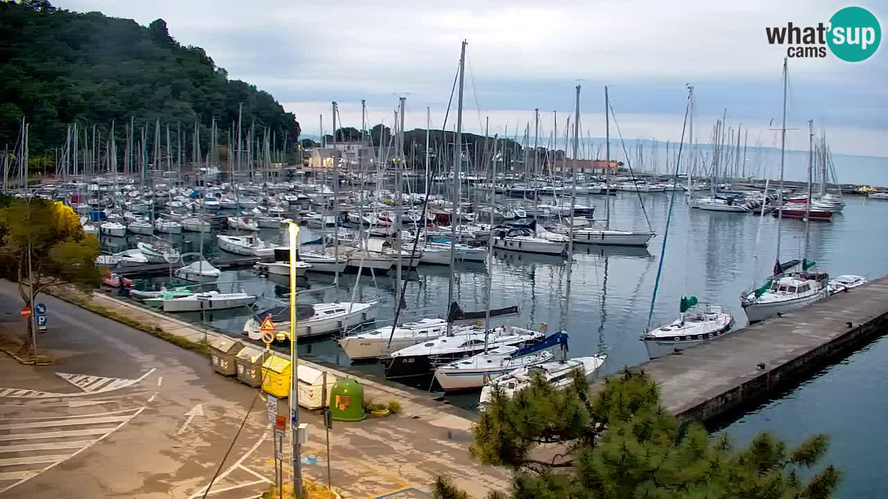 Webcam Sistiana – Pogled na marinu i zaljev