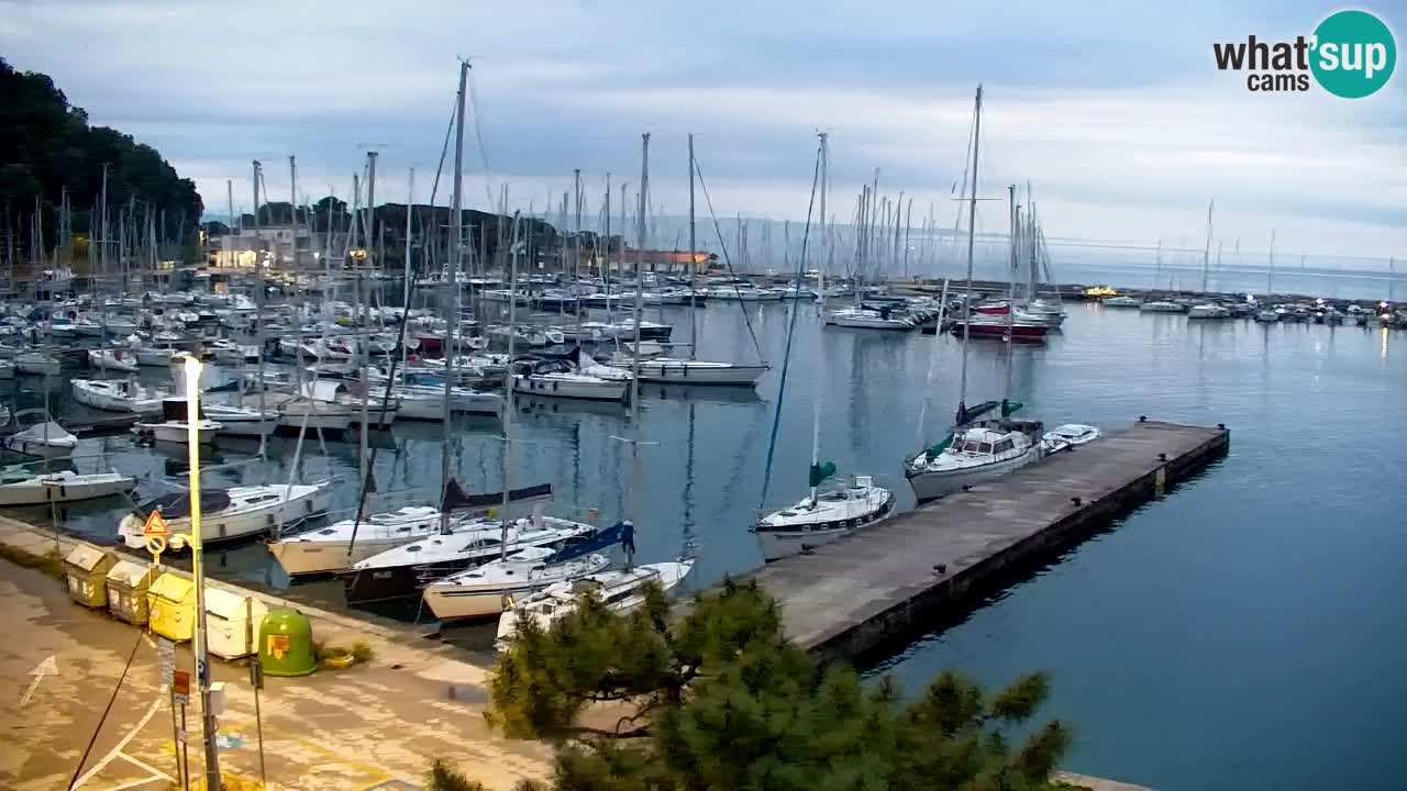 Webcam Sistiana – Marina and Bay Live View