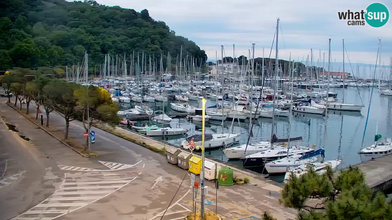 Webcam Sistiana – Marina and Bay Live View