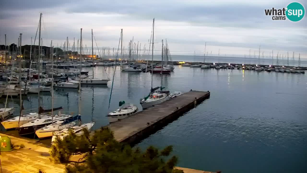 Webcam Sistiana – Pogled na marinu i zaljev
