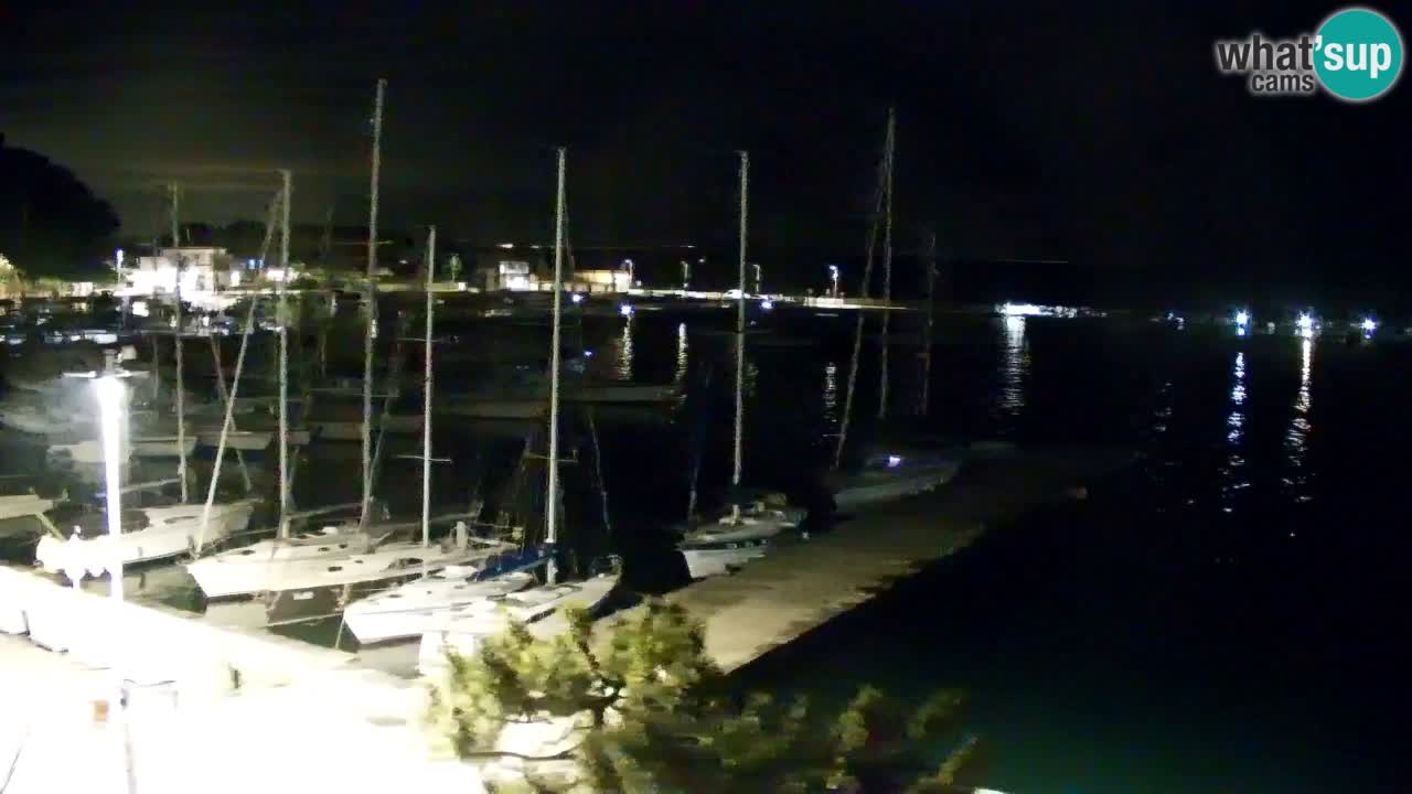 Webcam Sistiana – Marina and Bay Live View