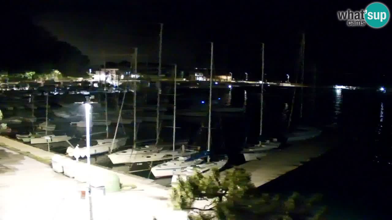 Webcam Sistiana – Marina and Bay Live View