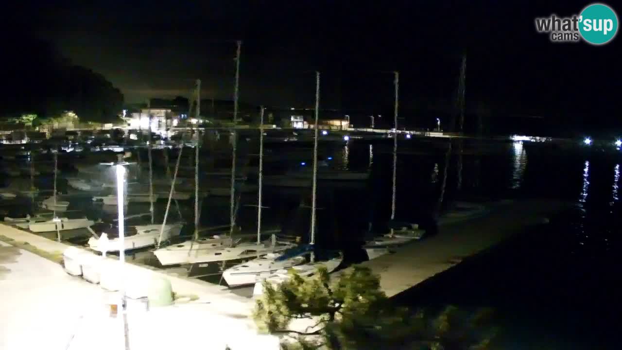Webcam Sistiana – Marina and Bay Live View