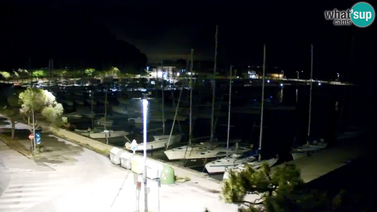 Webcam Sistiana – Marina and Bay Live View