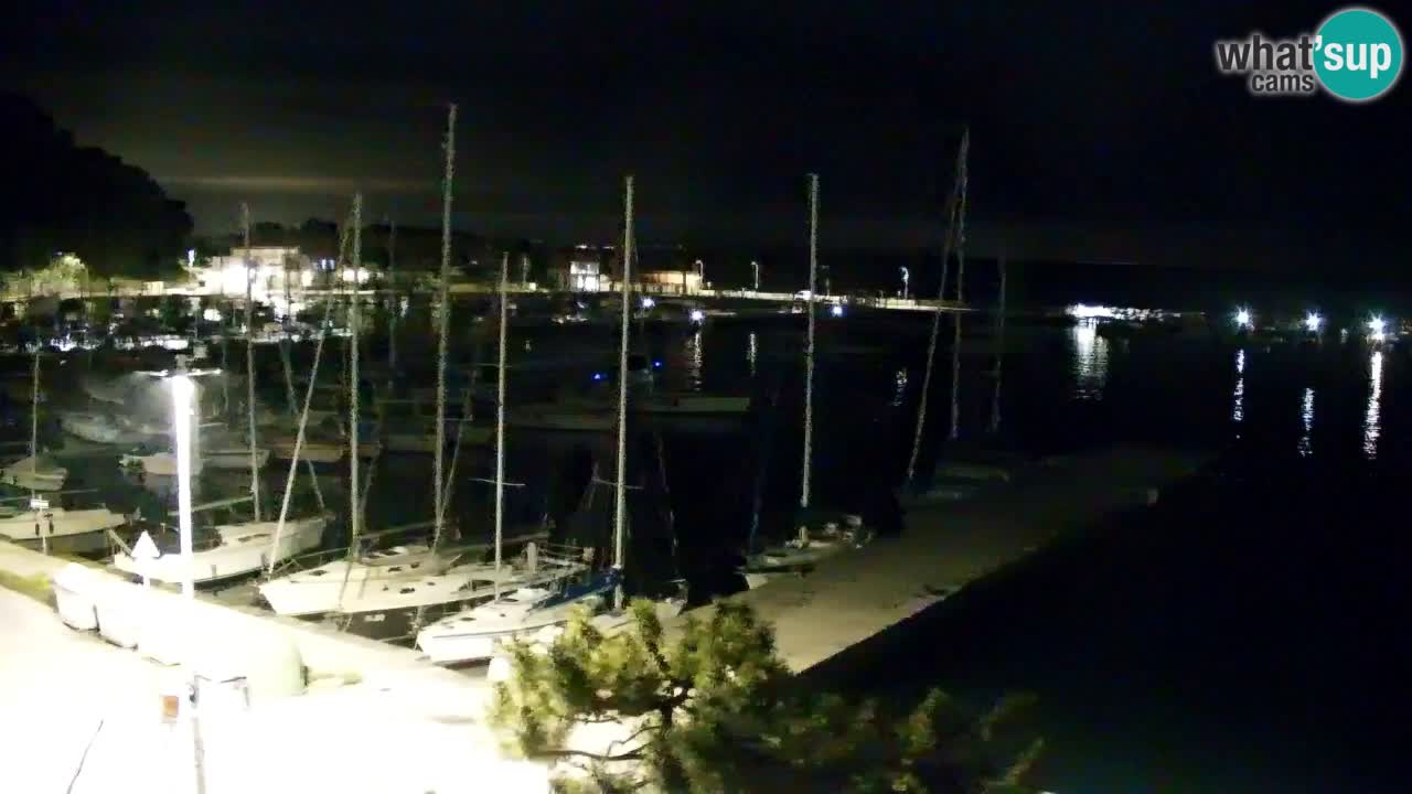 Webcam Sistiana – Marina and Bay Live View