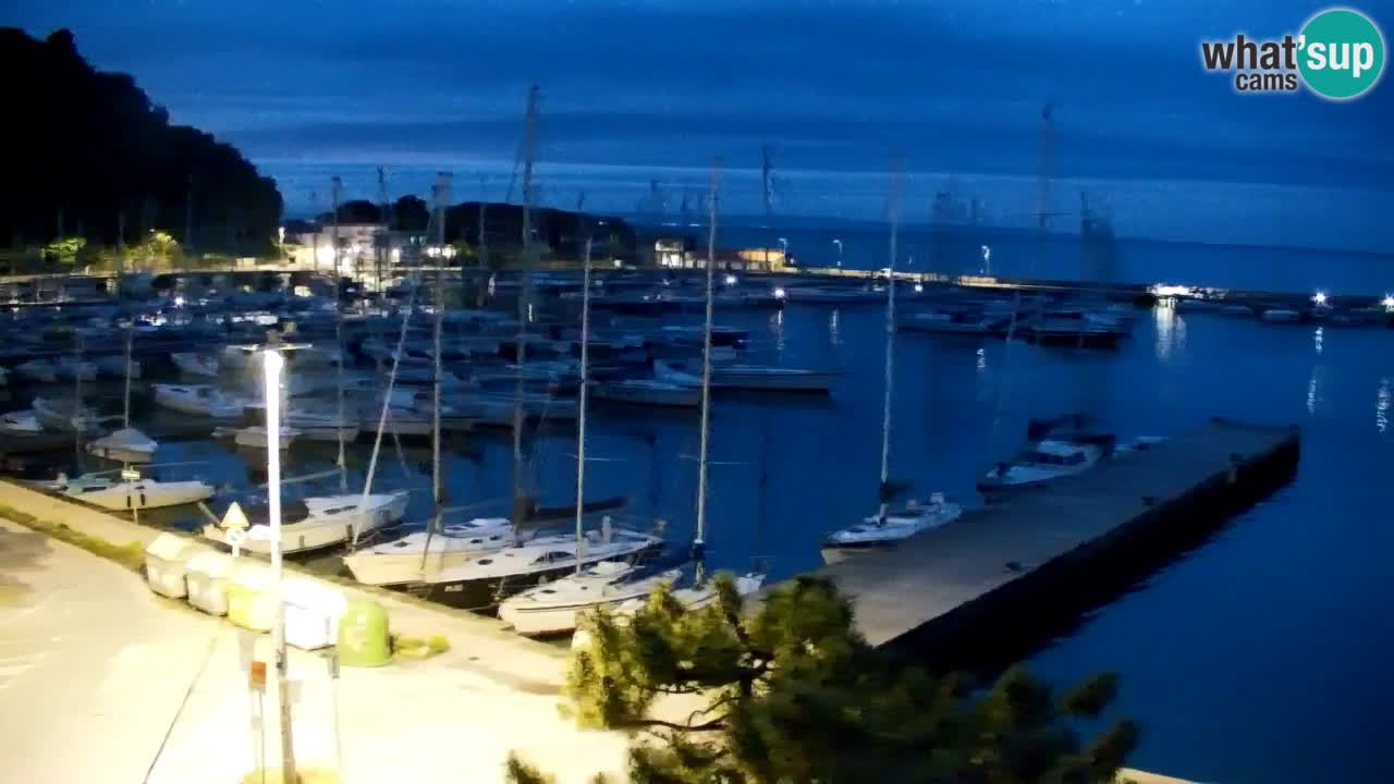 Webcam Sistiana – Marina and Bay Live View