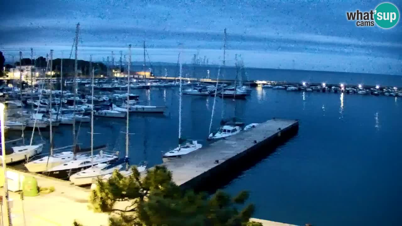 Spletna kamera Sesljan (Sistiana) – Pogled na marino in zaliv