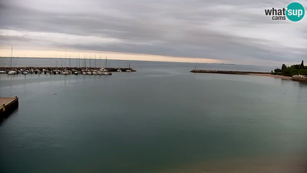 Webcam Sistiana – Vista sobre la marina y la bahía