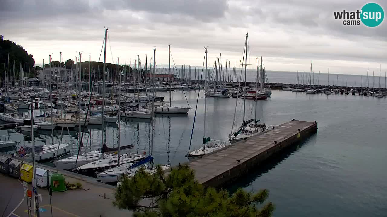 Spletna kamera Sesljan (Sistiana) – Pogled na marino in zaliv