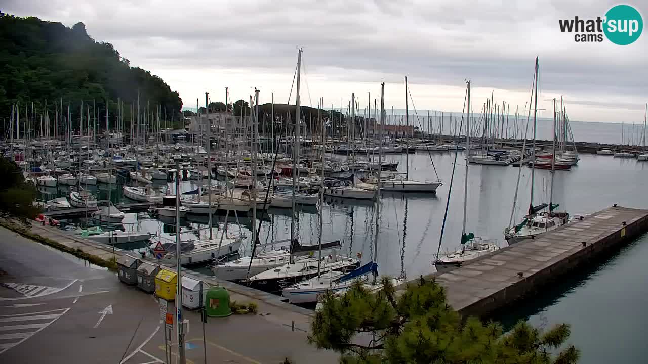 Webcam Sistiana – Marina and Bay Live View