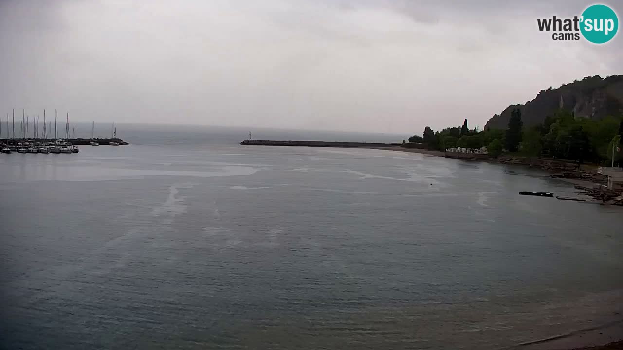 Webcam Sistiana – Marina and Bay Live View