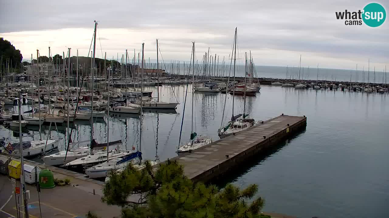 Webcam Sistiana – Marina and Bay Live View