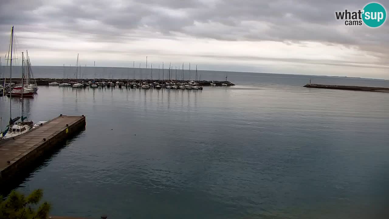 Webcam Sistiana – Vista sulla marina e sulla baia