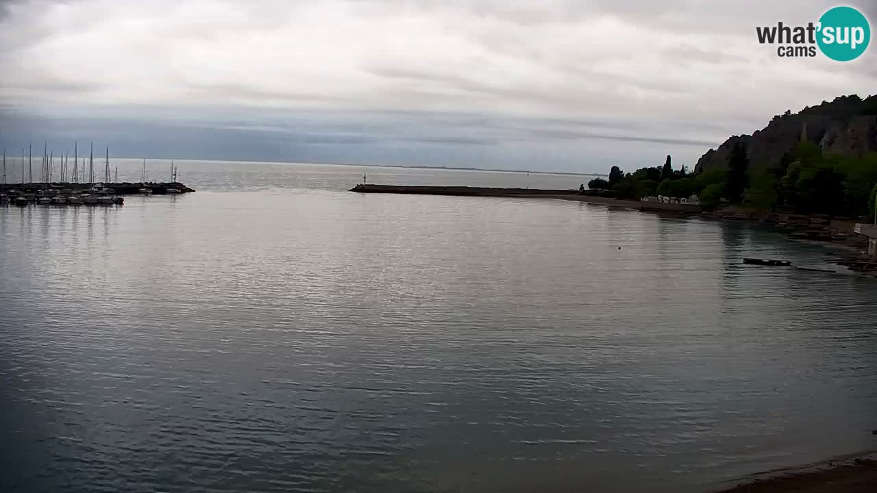 Webcam Sistiana – Marina and Bay Live View