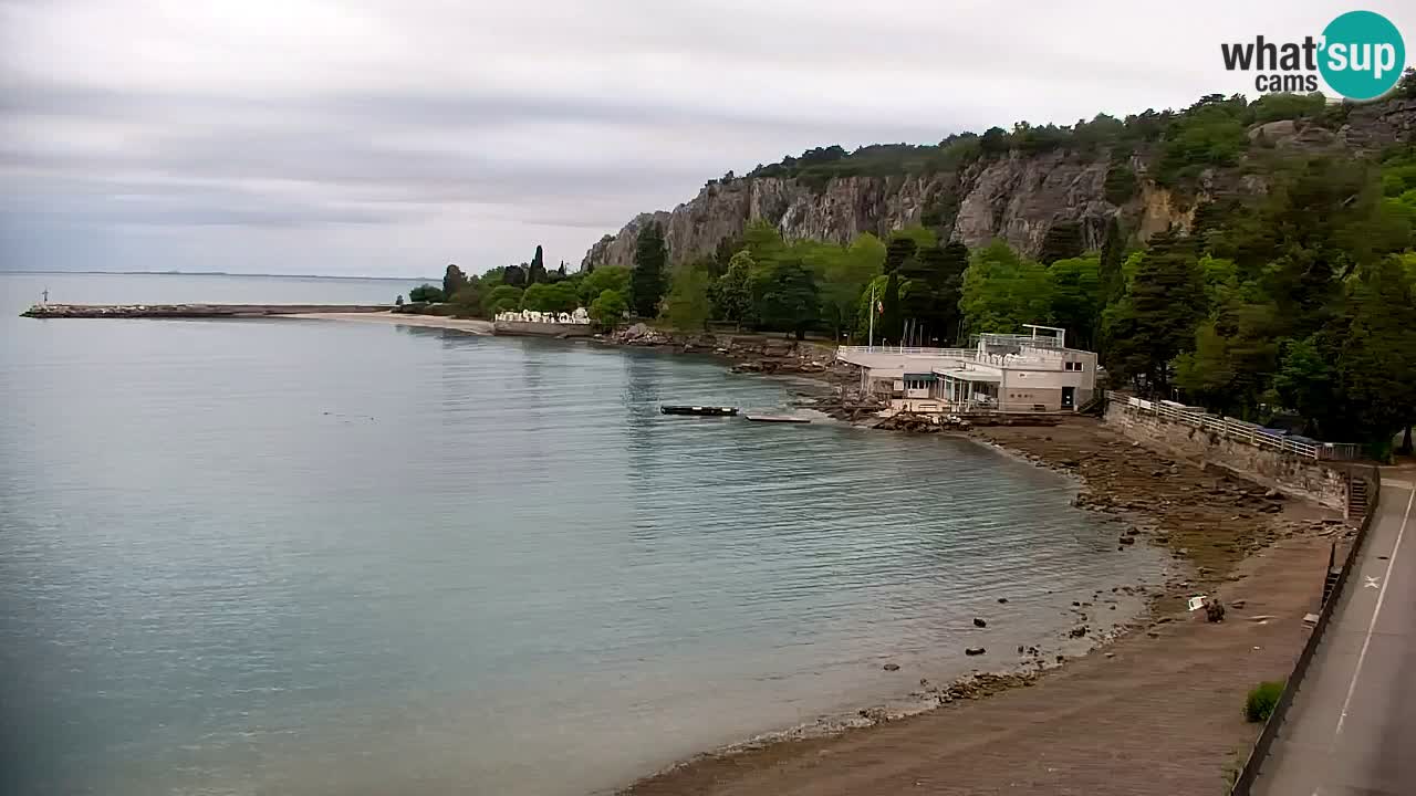 Spletna kamera Sesljan (Sistiana) – Pogled na marino in zaliv