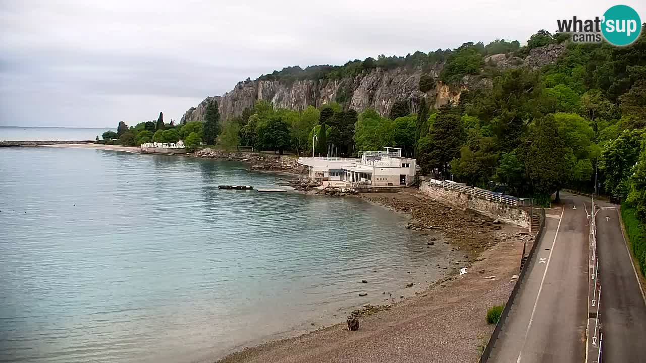 Webcam Sistiana – Vue sur la marina et la baie
