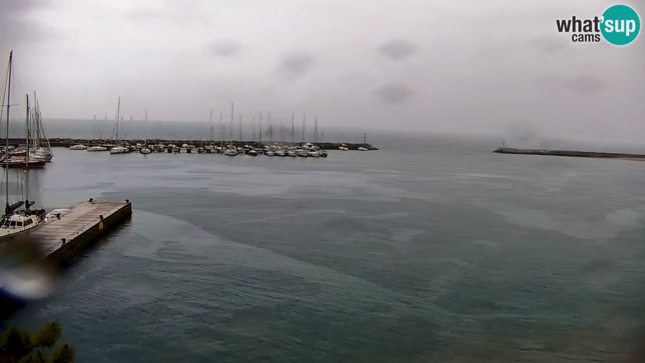 Webcam Sistiana – Vista sulla marina e sulla baia