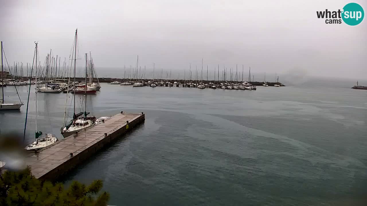 Webcam Sistiana – Marina and Bay Live View