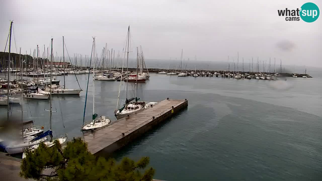 Webcam Sistiana – Marina and Bay Live View