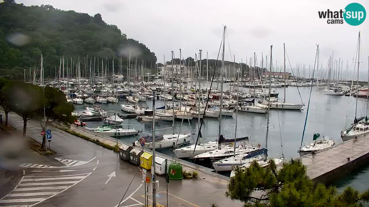 Webcam Sistiana – Marina and Bay Live View
