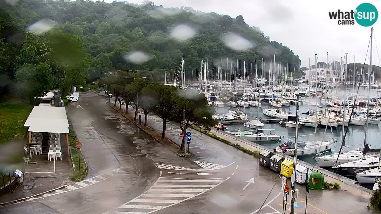 Webcam Sistiana – Pogled na marinu i zaljev