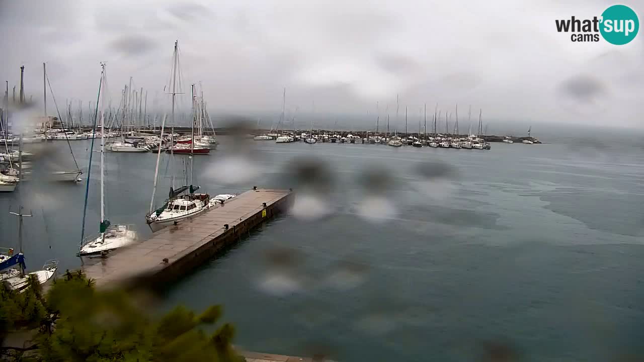 Webcam Sistiana – Marina and Bay Live View