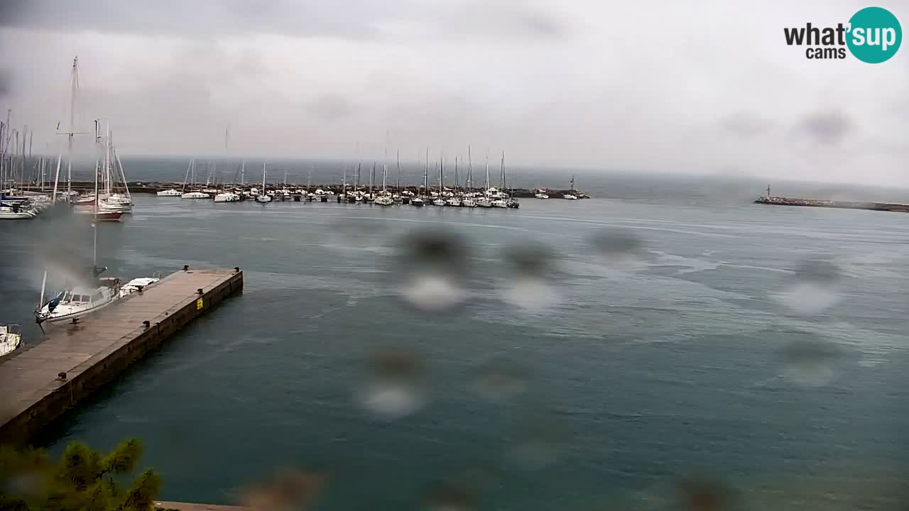 Webcam Sistiana – Marina and Bay Live View