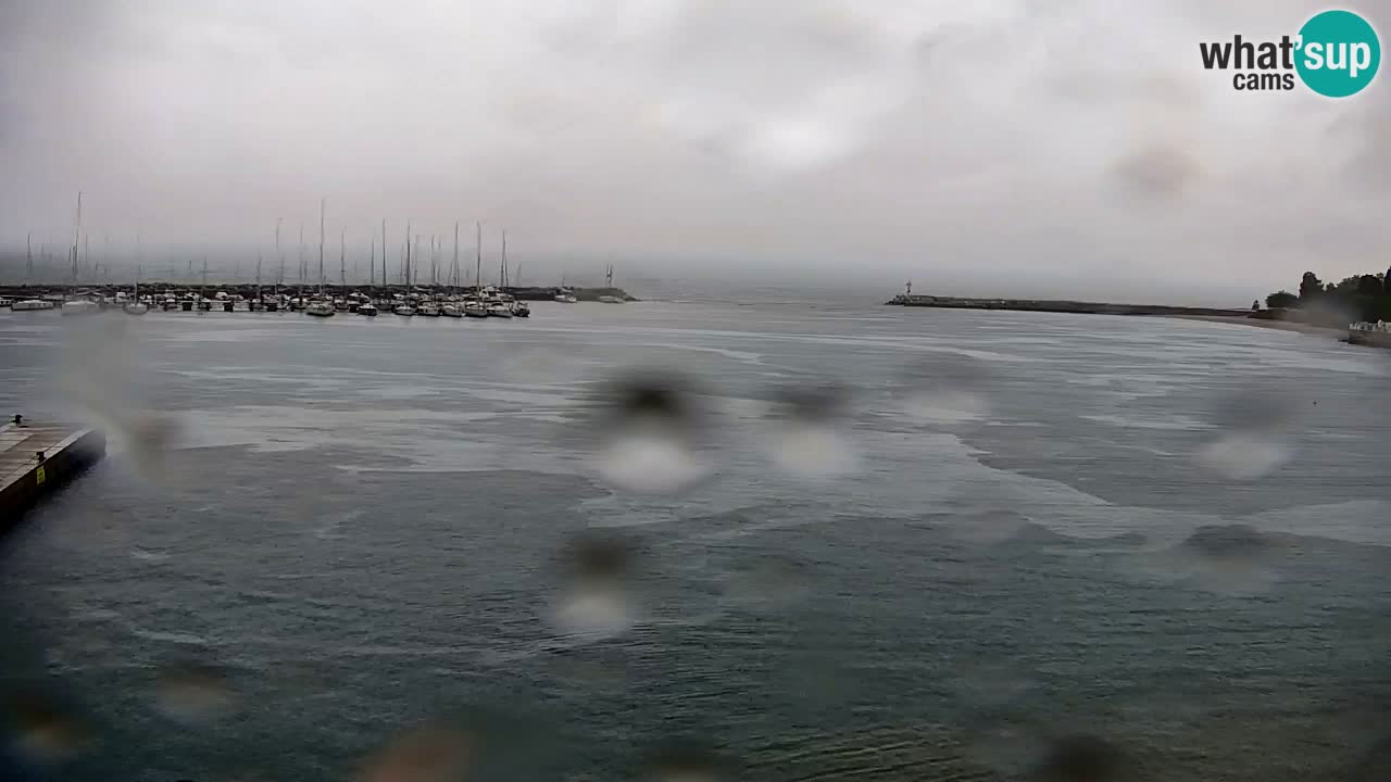Spletna kamera Sesljan (Sistiana) – Pogled na marino in zaliv