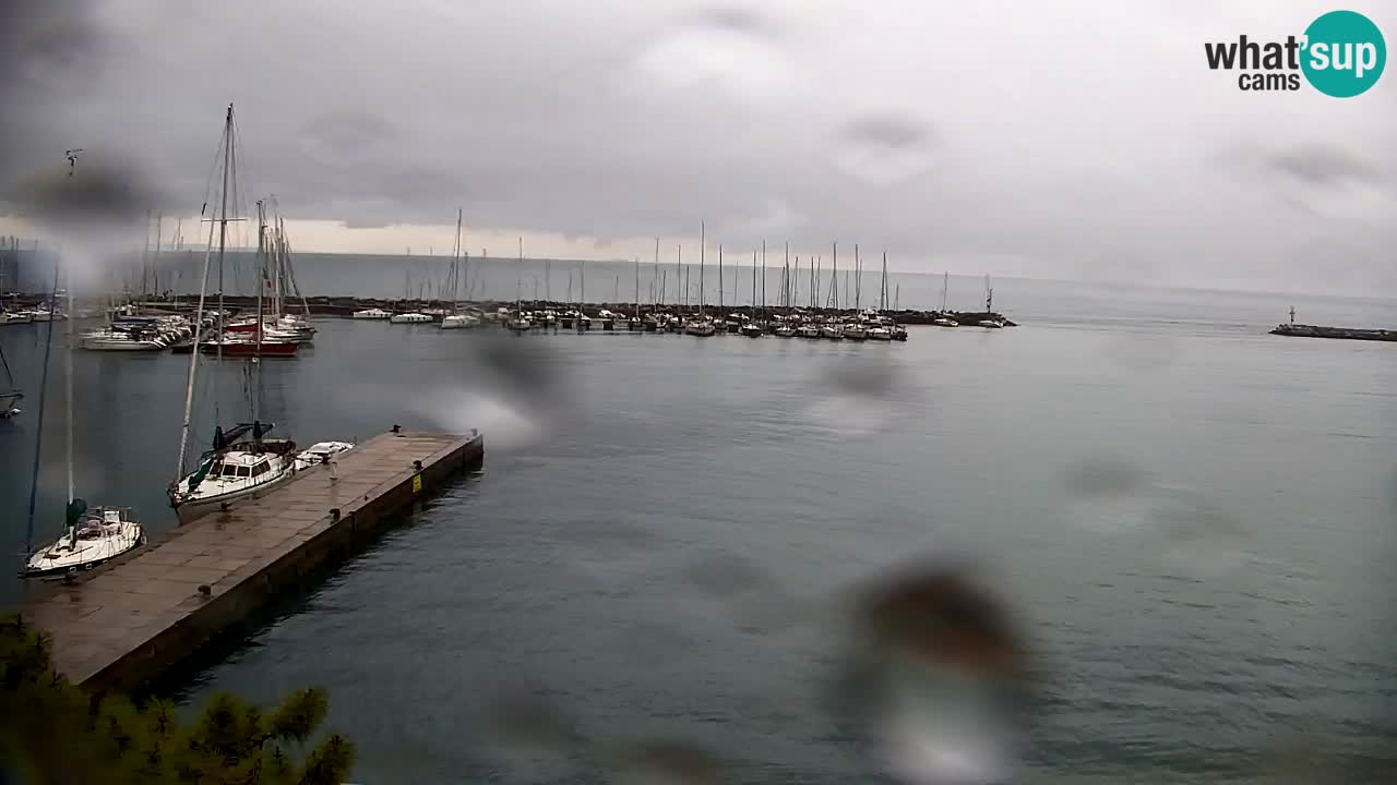 Webcam Sistiana – Vue sur la marina et la baie