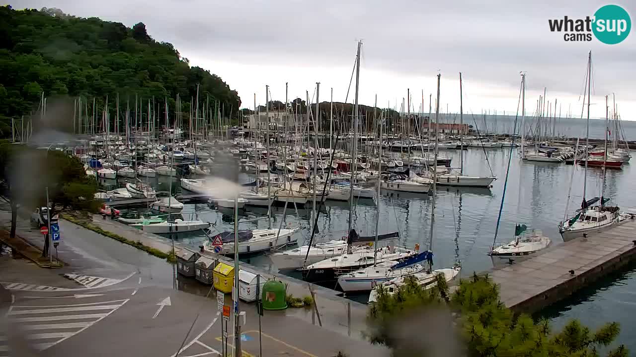Webcam Sistiana – Vista sulla marina e sulla baia