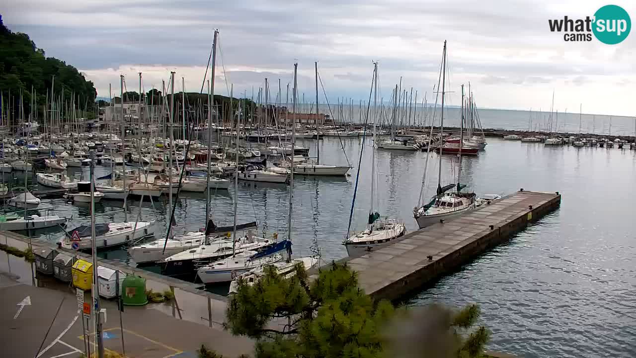 Webcam Sistiana – Marina and Bay Live View