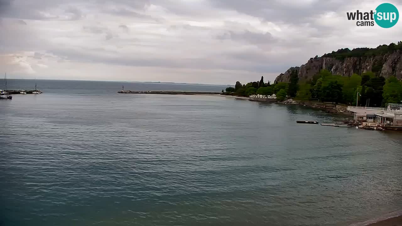 Spletna kamera Sesljan (Sistiana) – Pogled na marino in zaliv